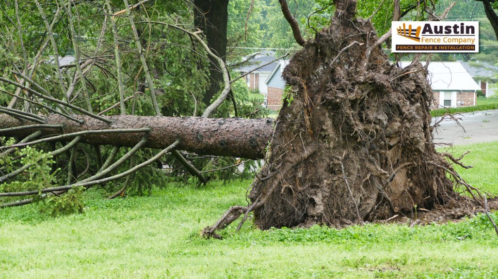 brown tree trunk 