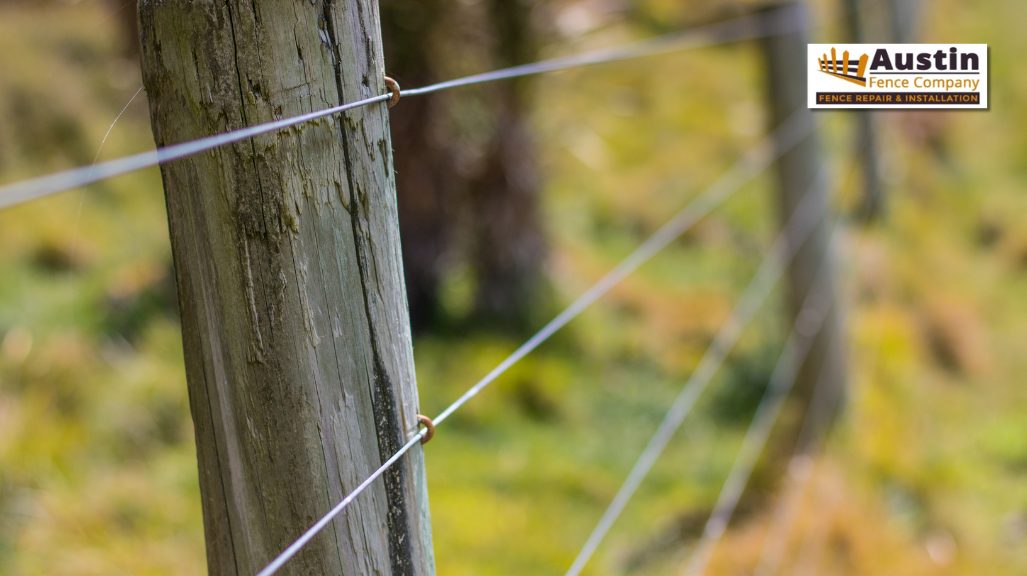 wire fence