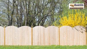 Why Fence Material Choice Matters in Austin