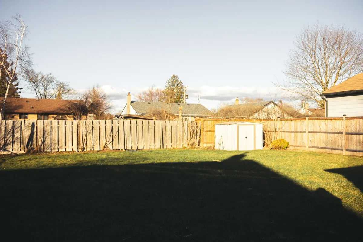 A sunny residential backyard featuring a wooden fence, a shed, lawns, and tree shadows.